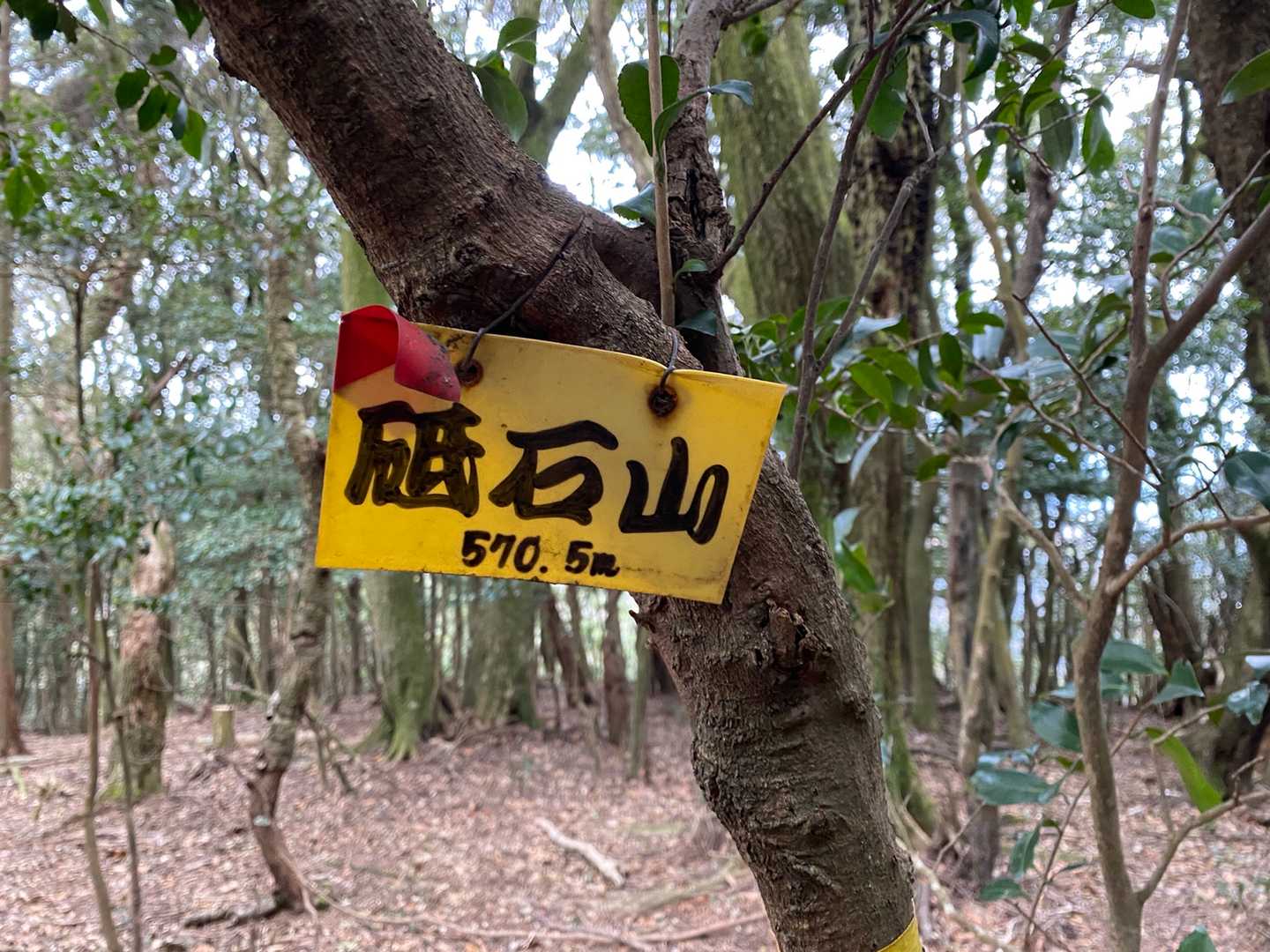 砥石山（福岡県宮若市）の写真