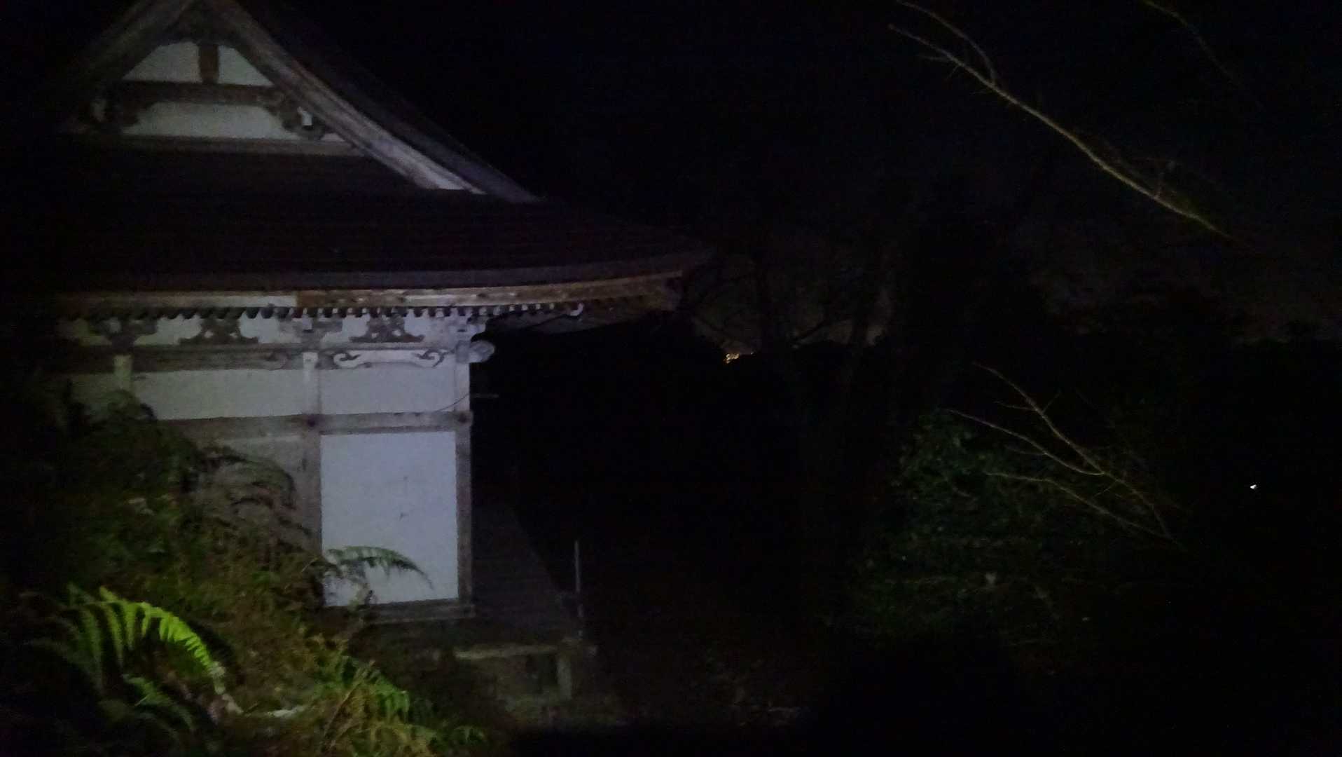 奥の院の裏に水場があるそうだが未確認
