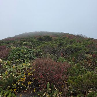 ガスってきた