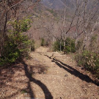 緩やかに下って行きます。