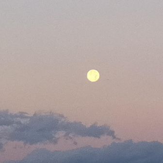 夜明けの月