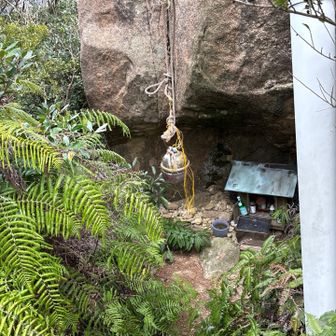 その下には
パイプの⛩️あり
何故？！パイプなのか？！不思議でした