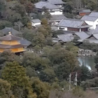 衣笠山山頂からの金閣寺