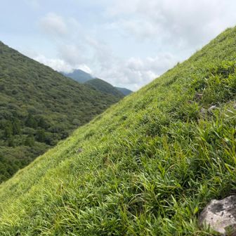 飯盛ヶ城、ココを直登
