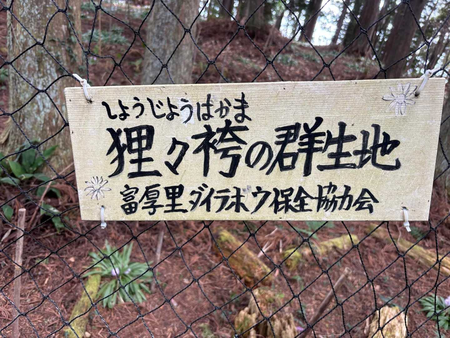 カモシカ被害に遭わないように　柵してあります