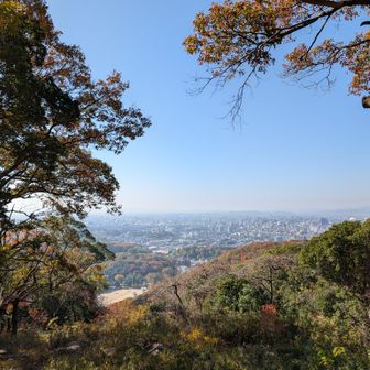 展望台からの景色♫