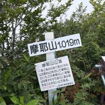 摩耶山山頂！