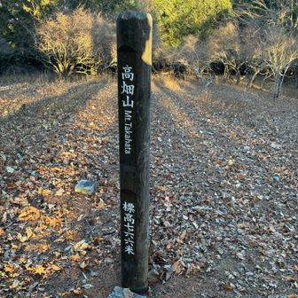 帰りも丹沢三峰のキツいアップダウンをクリアし、日没が迫る中ひたすら転がるように下る。高畑山のピークはしっかり拾う。