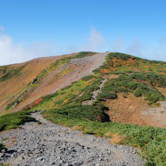 こっち（岩場怖いので今日は山頂は行かない）