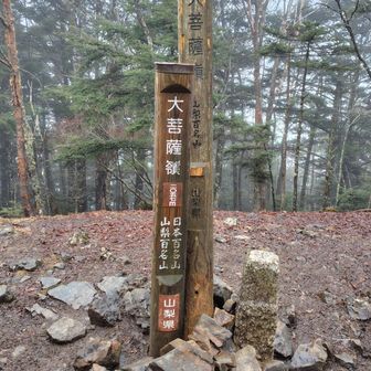 大菩薩嶺の山頂到着