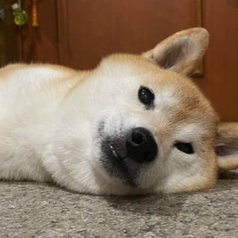 kazu
