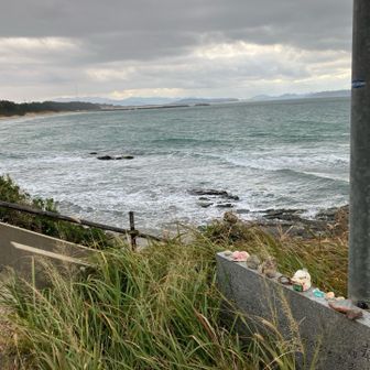 サーファーがいる。寒そ〜