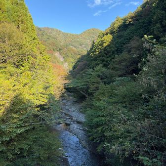駐車場の橋からの眺め
素晴らしい！