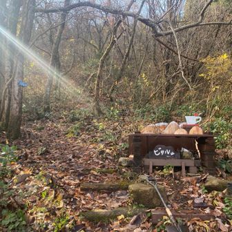 ビタル山　ここからキゴ山にも登れます。