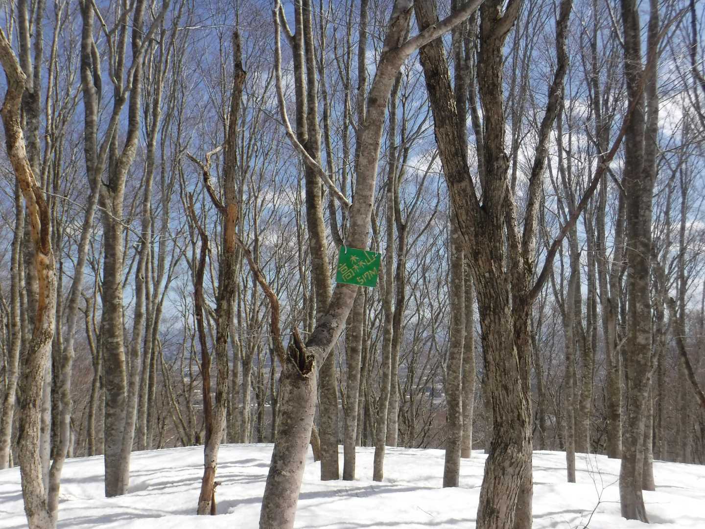 山頂。