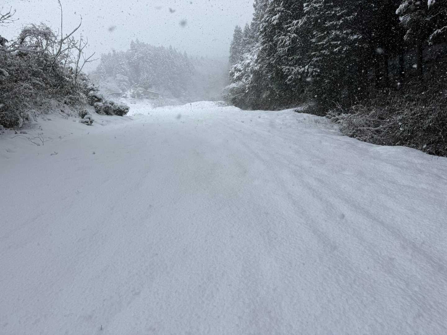 めちゃくちゃフワフワの雪