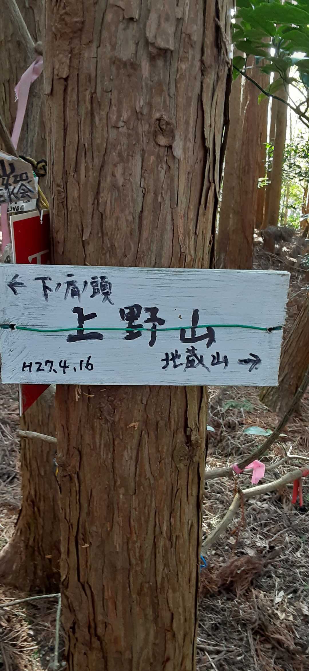 上野山⛰️