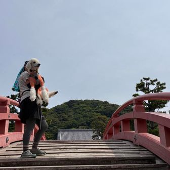 池を跨ぐ橋は、ワンコを抱いていきます。