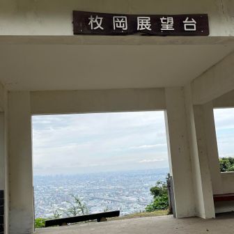 汗だくで展望台💦