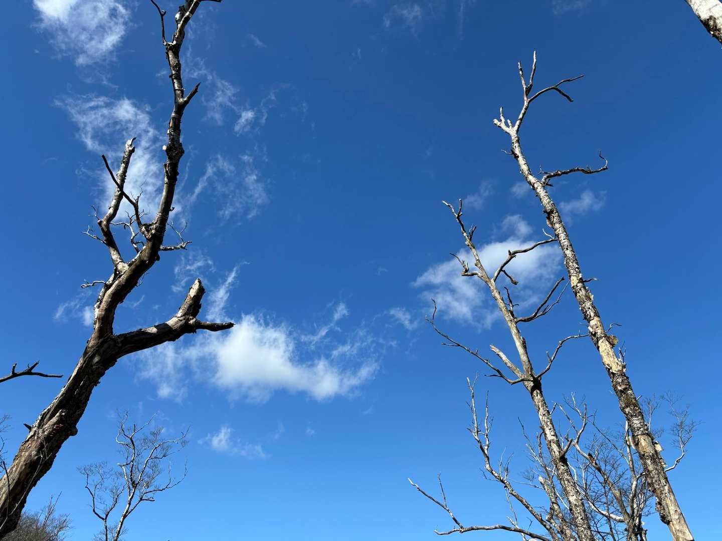 白雲山登山口-白雲山-天望山登山口 周回コースの写真
