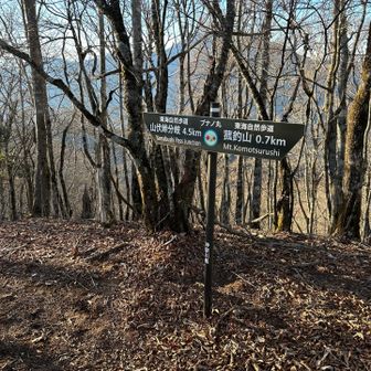 ブナノ丸…丸って何