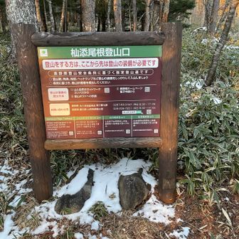 道路は最後の10分ほど若干凍結路ぽかったけど大丈夫でした。🅿️も6割ほどの埋まりでプラン_1を実行します😁気温は-5℃、それほどでもないのかな🤔