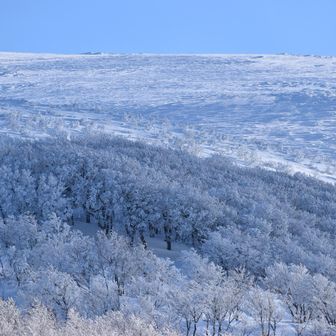 鳥海山・七高山・笙ヶ岳 それにしても霧氷の楽園は素晴らしかった…🥹