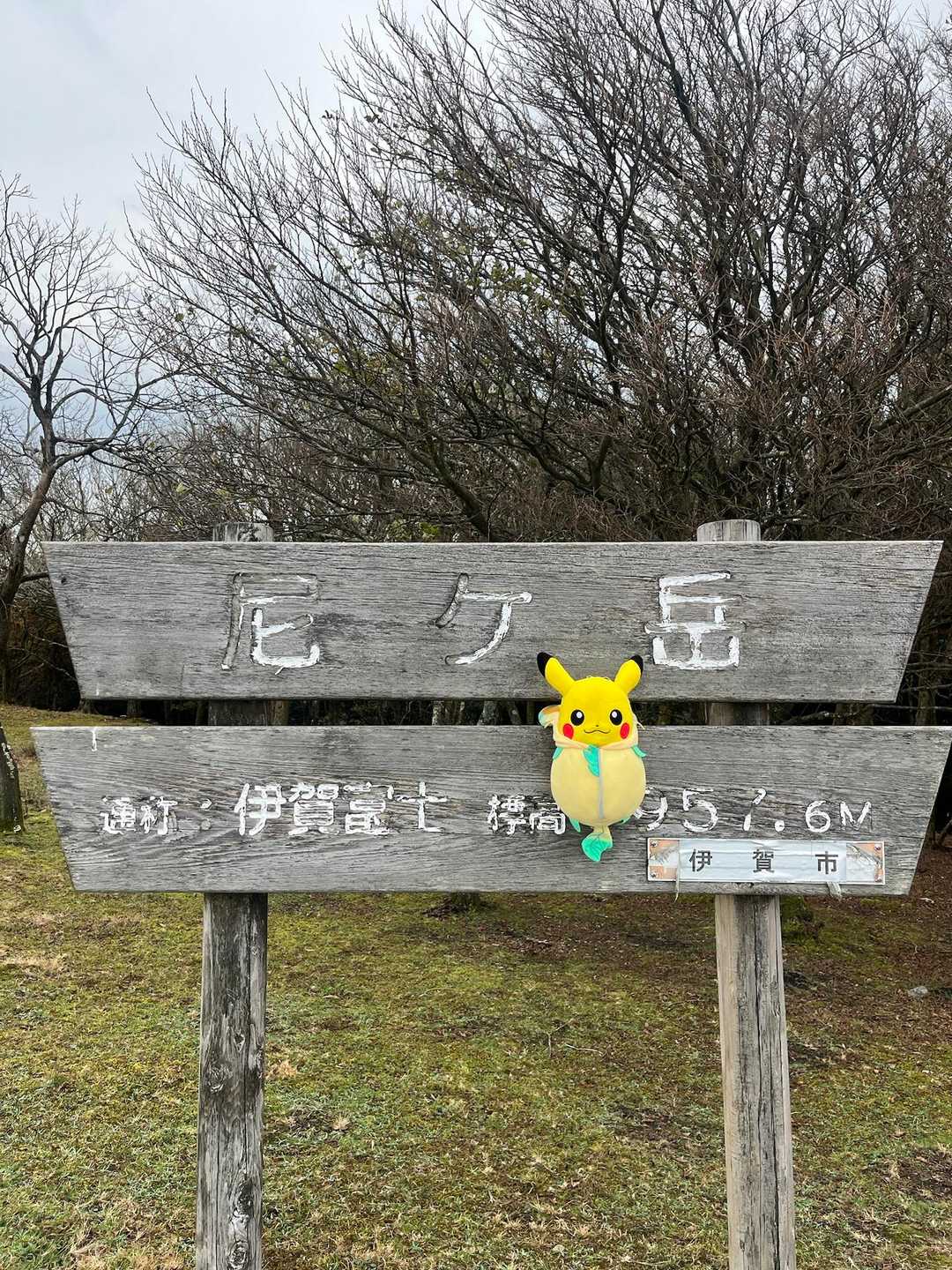 尼ヶ岳 往復コースの写真