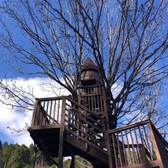 無料🅿️から管理事務所に到着