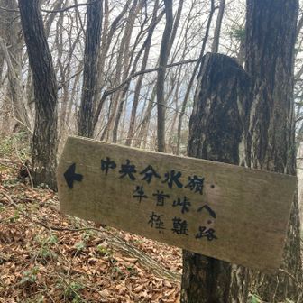 「極めて難路」
牛首峠へは相当大変なようですね(・・;)