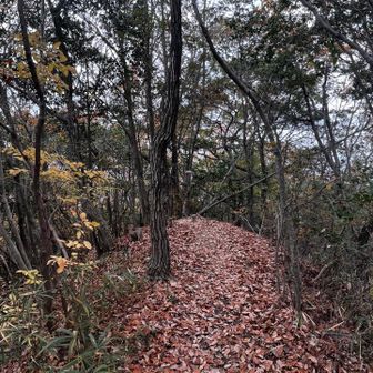 37　石橋山　179.8m
No.4