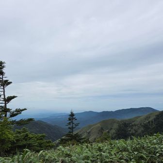 山頂からの景色はこんな感じ☺