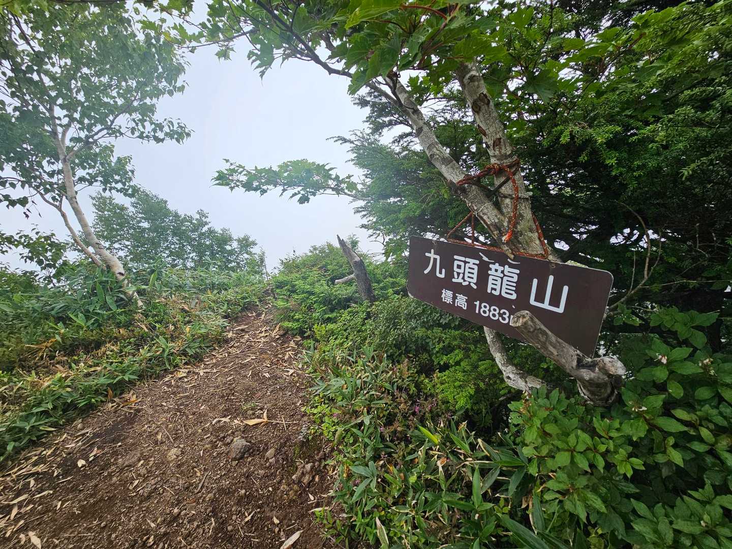 九頭竜山