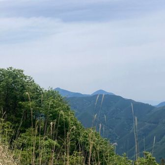 大持山と南側から見ると緑の武甲山