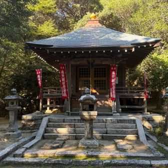 ここでも邪念でお願いしよう🙏