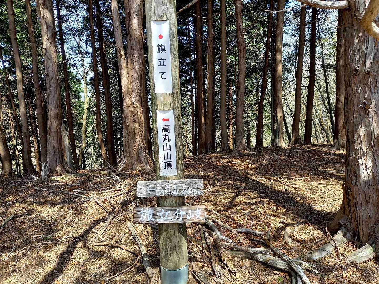 分岐点