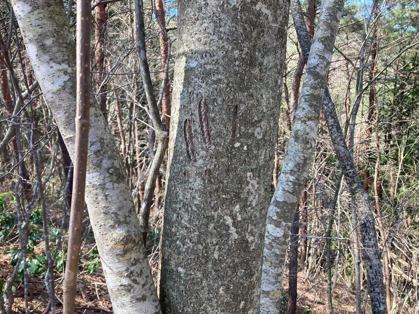 カリカリ結構ありますね