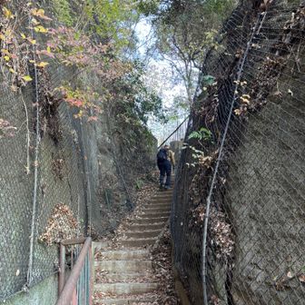 鷹取山の展望台に向けて