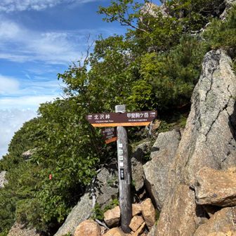直登ルートと巻道の分岐
本当は直登ルートに行きたかったんだけど…
ゼロ睡眠の影響か、高山病気味🌀
フワフワした感覚で直登は危険なので巻道で山頂を目指します