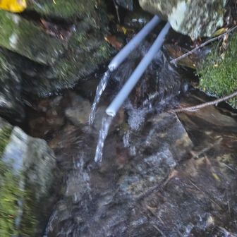 次の水場は千枚小屋なので1Lだけ頂きました🙏
