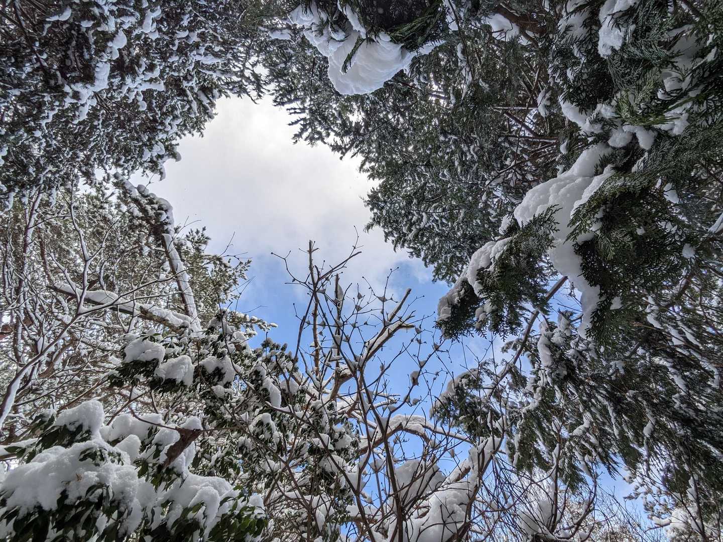 でも時々、青い空