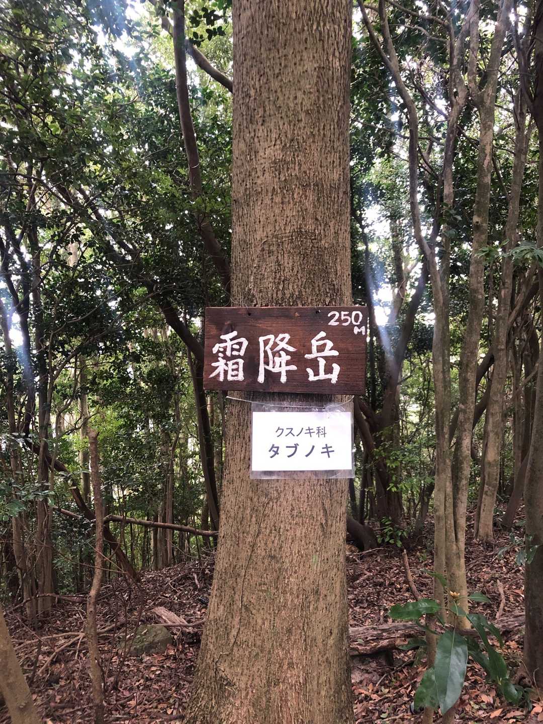 この山頂プレートは初めて見るような気がするけど以前からありました？