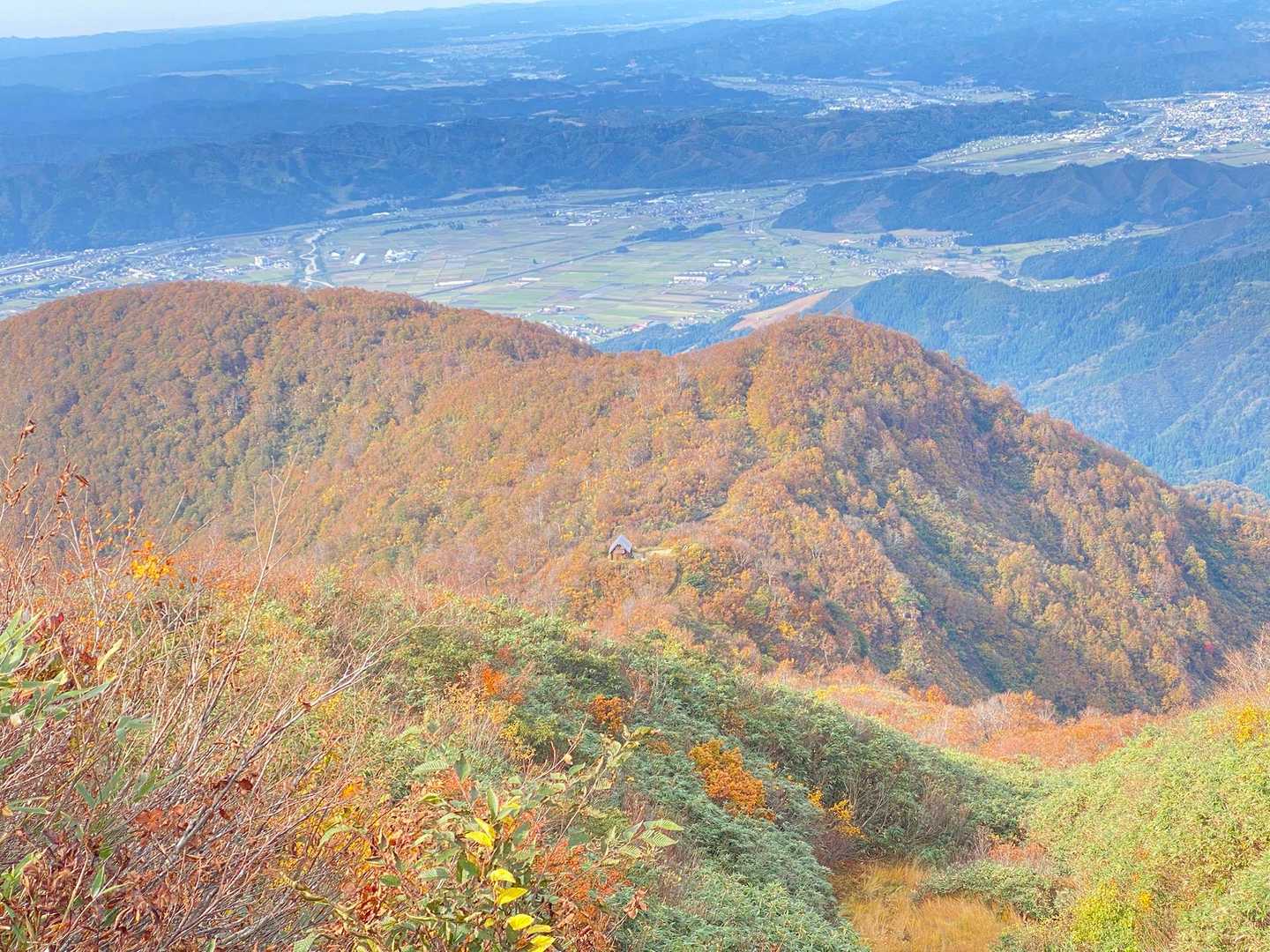 見納めの紅葉