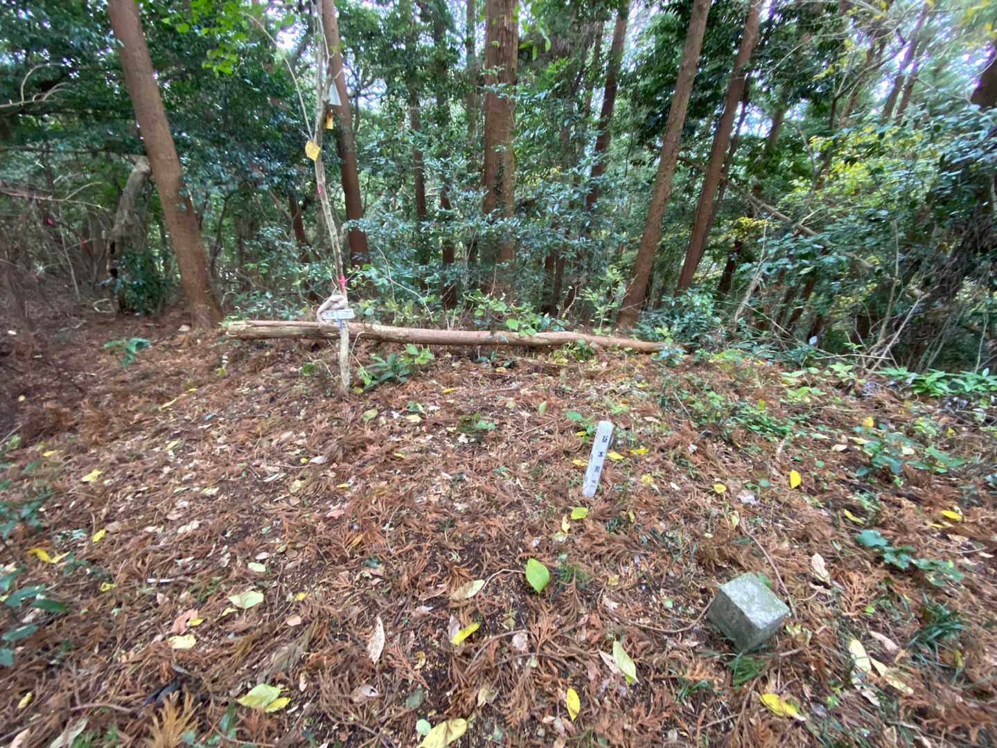 山頂はやや狭め。
展望もないので続けて対馬見山へ向かいます⛰