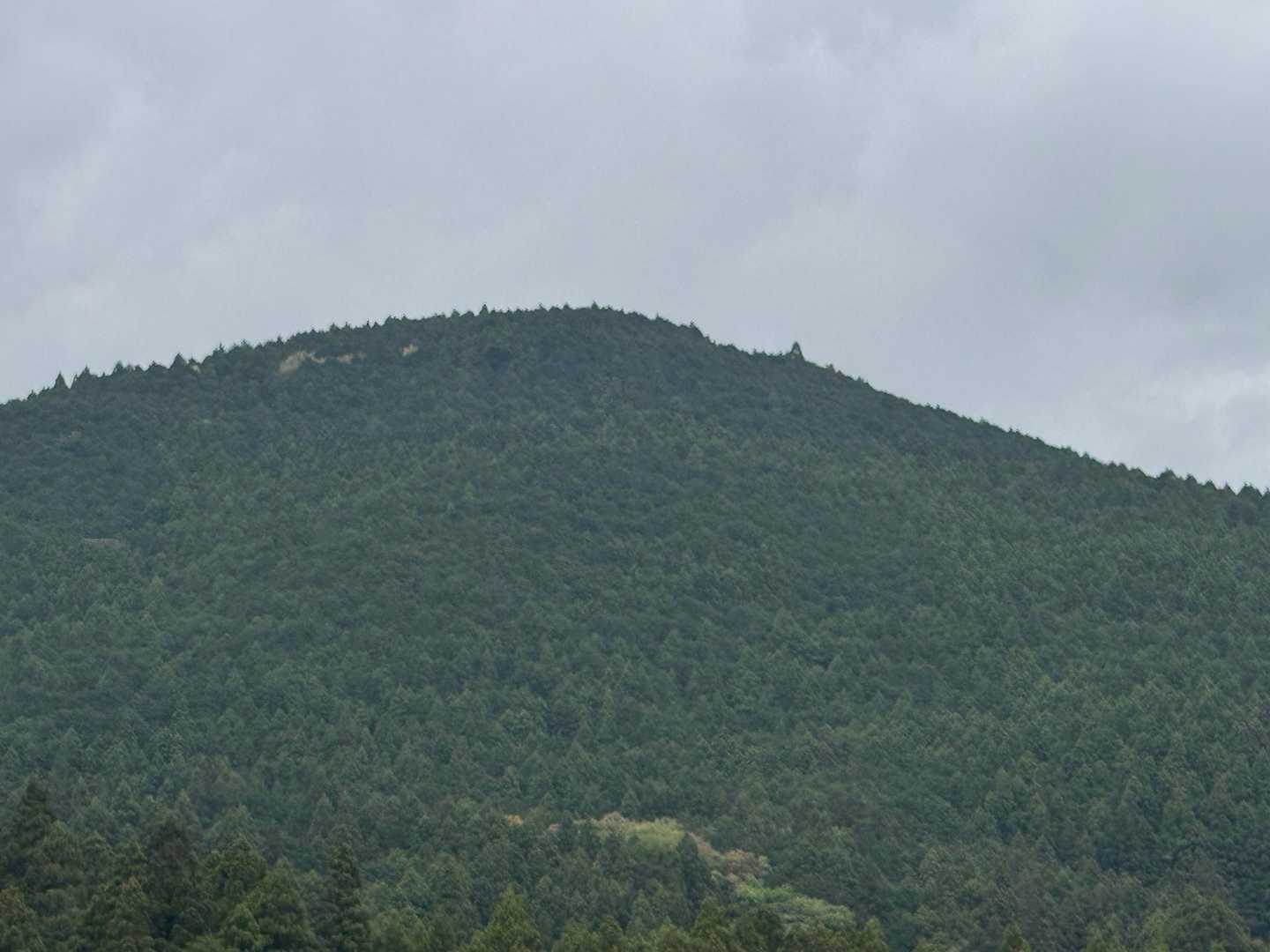 居尻バス停-大尾山 周回コースの写真