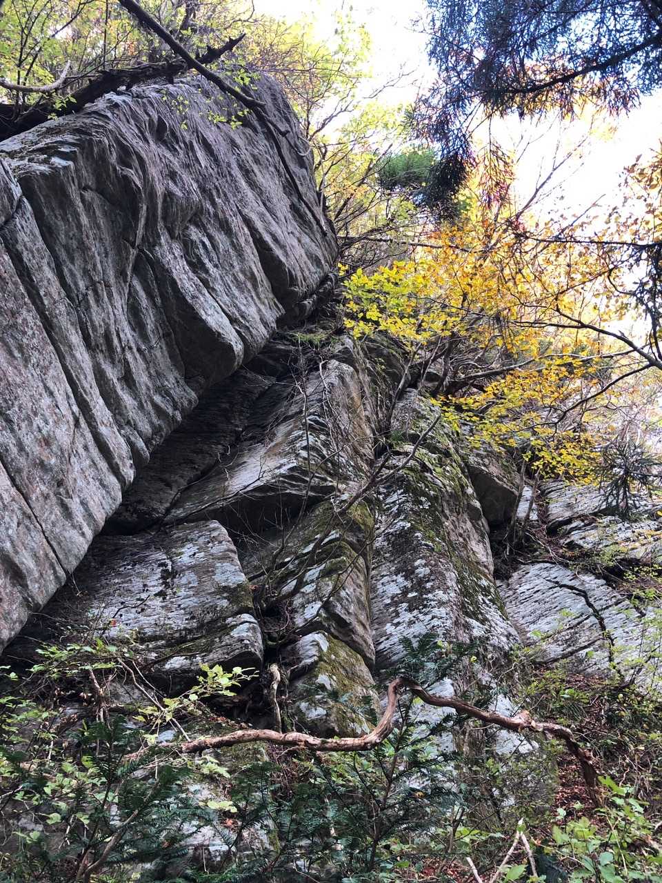 頂上はこの岩🪨の上だった😳