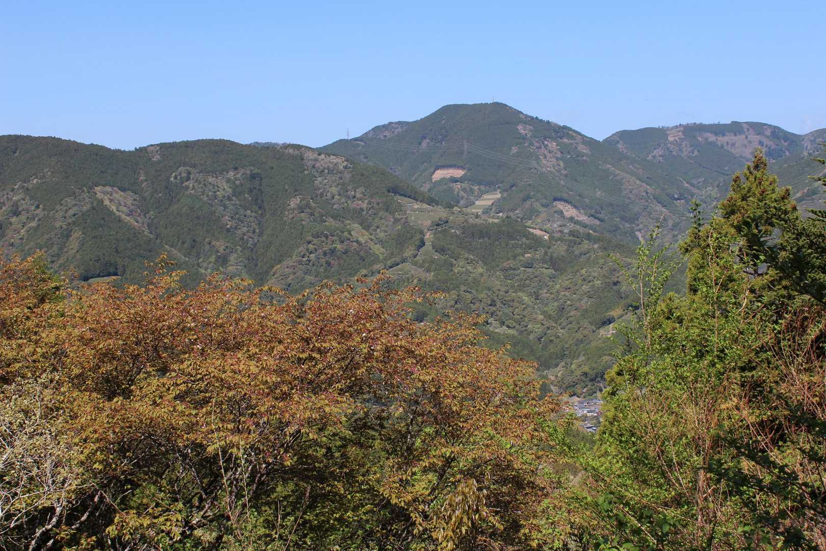 高根山　871m
藤枝市の最高峰