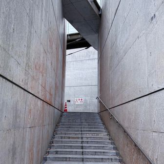 凄すぎて凡人にはよくわからん😅