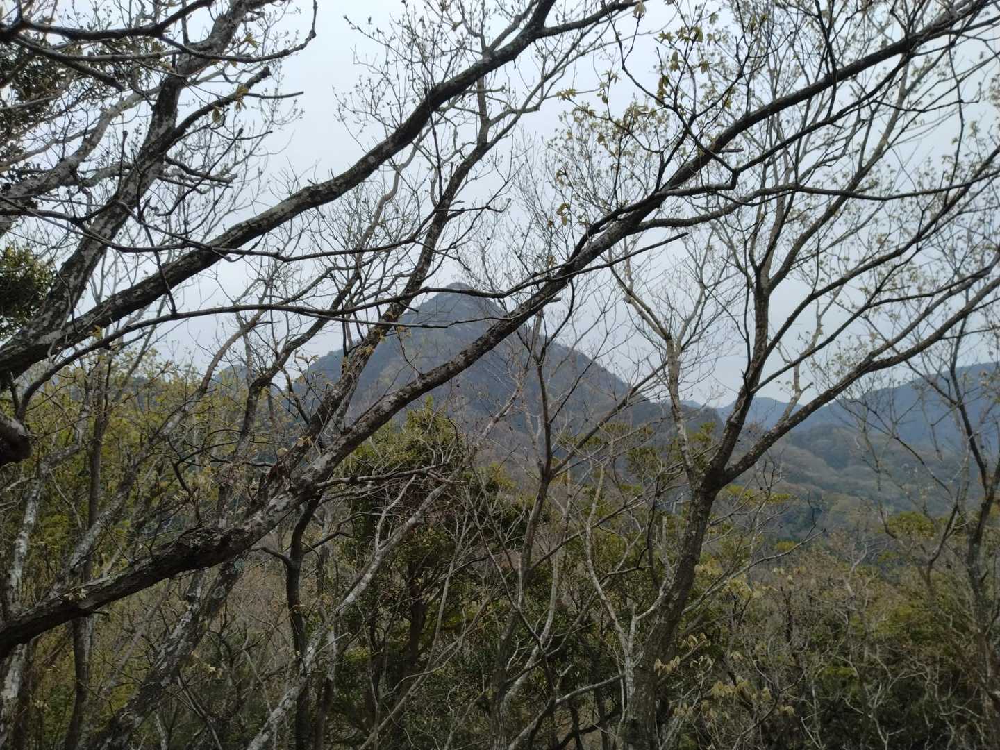 見えてきました❕
綺麗な山容です。