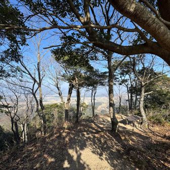 木はあるけど眺望よし
ほぼ360°見渡せる、2人掛けベンチ有